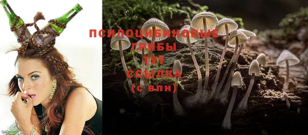 не бодяженный Белокуриха