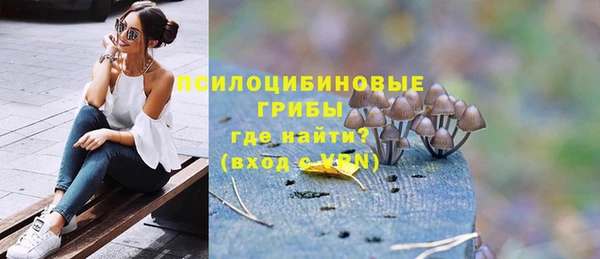 трава Снежногорск