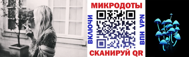 ссылка на мегу зеркало  Малоярославец  Галлюциногенные грибы Psilocybe 